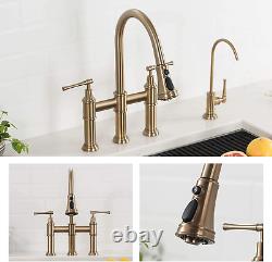 Allyn Transitional Bridge Kitchen Faucet with Pull-Down Sprayhead in Brushed Gol