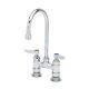 Double Pantry Faucet Deck Mount 4 Centers Swivel Gooseneck Rigid T&s B-0325