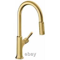 Hansgrohe 04827250 Kitchen Faucet