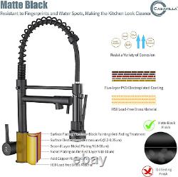 Kitchen Sink Faucet with Pull Down Sprayer