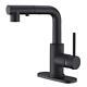 Sink Faucet, Black Kitchen Faucets With Pull Down Sprayer, Bathroom Sink