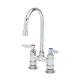 T&s Brass B-0325 Deck Mount Double Pantry Faucet With 4-inch Centers And Swiv