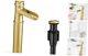 Tall Brass Bathroom Waterfall Faucet, Brushed Gold Brushed Gold Elegant